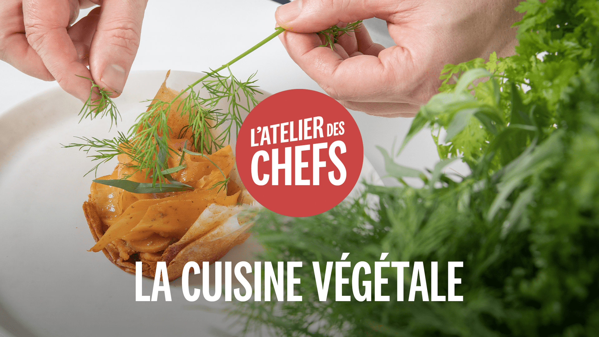 La formation Cuisine Végétale de L'atelier des Chefs 