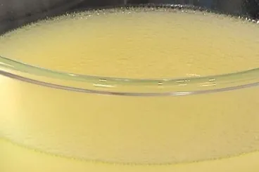 Fond blanc de volaille - bouillon de volaille